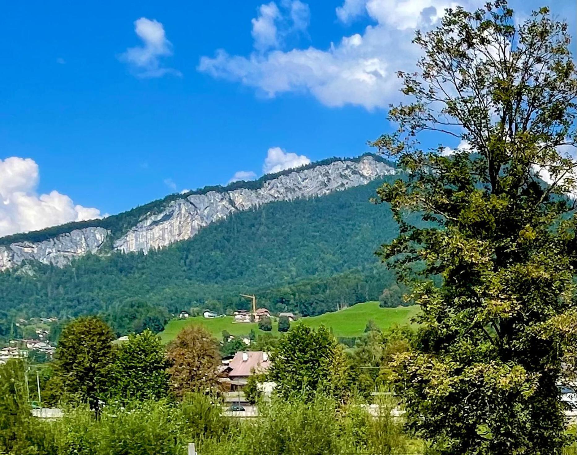 Mitzis Stubn Apartments - Bad Goisern - 24-Hour Self Check-In Екстер'єр фото